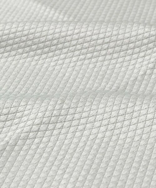 212 KITCHEN STORE / トゥーワントゥーキッチン ストア インテリア・インテリア雑貨 | ガラス・鏡ピカッとクロス(2枚入) GY ＜marna マーナ＞ | 詳細4