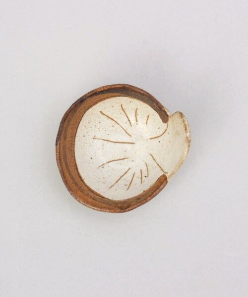 212 KITCHEN STORE / トゥーワントゥーキッチン ストア インテリア・生活雑貨・ホビー・ステーショナリー | お野菜珍味　しいたけ | 詳細3