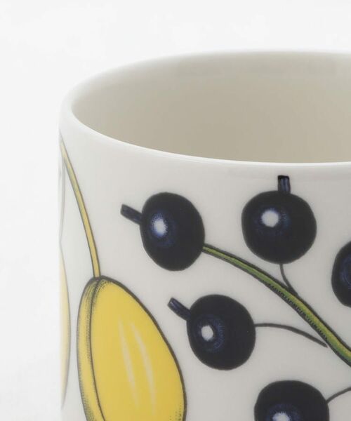 212 KITCHEN STORE / トゥーワントゥーキッチン ストア グラス・マグカップ | パラティッシ ティーカップ＆ソーサー ＜ARABIA アラビア＞ | 詳細6