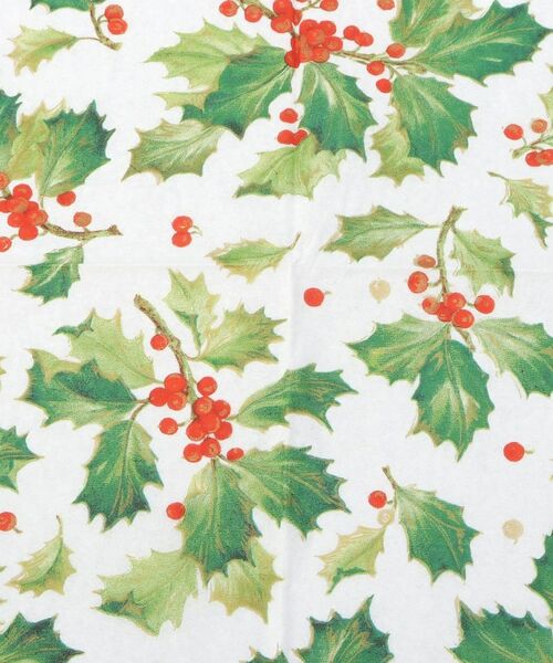 212 KITCHEN STORE / トゥーワントゥーキッチン ストア インテリア・生活雑貨・ホビー・ステーショナリー | カスパリ ペーパータオル ギルディドホーリー | 詳細3