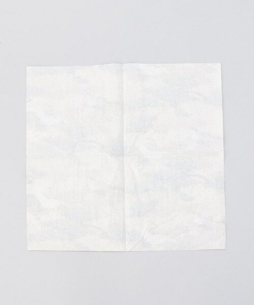 212 KITCHEN STORE / トゥーワントゥーキッチン ストア インテリア・生活雑貨・ホビー・ステーショナリー | カスパリペーパータオル 10枚 クレインズ GD | 詳細2