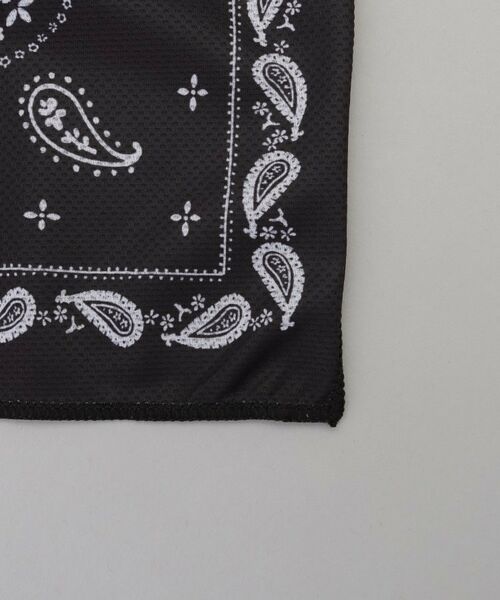 212 KITCHEN STORE / トゥーワントゥーキッチン ストア その他小物 | PAISLEY クールタオル BK | 詳細4