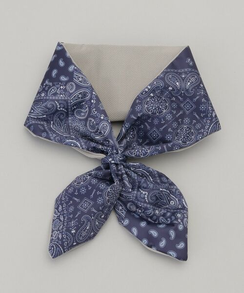 212 KITCHEN STORE / トゥーワントゥーキッチン ストア その他小物 | hieru スカーフ氷のう ペイズリー ネイビー | 詳細1