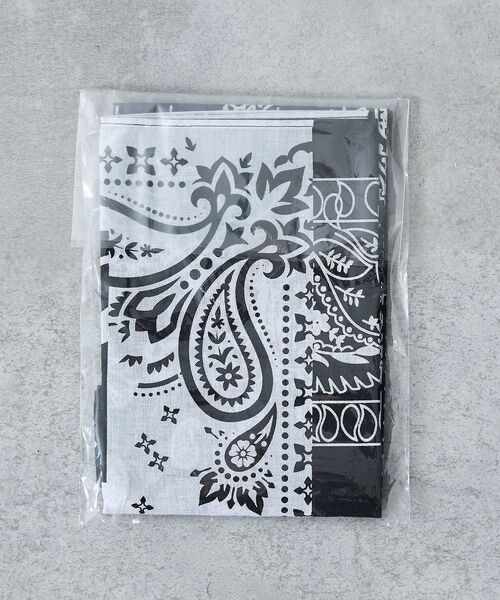 5351POUR LES HOMMES / 5351プール・オム デニムパンツ | プリント テーパード デニム パンツ / オリジナルバンダナ付き | 詳細18