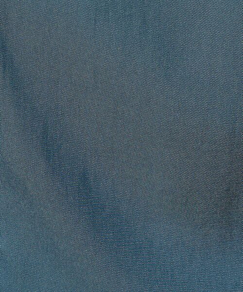 5351POUR LES HOMMES / 5351プール・オム シャツ・ブラウス | スキッパー 半袖 シャツ | 詳細1