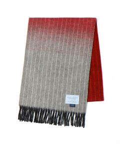 ABAHOUSE / アバハウス マフラー・ショール・スヌード・ストール | 【別注】BEGG&CO グラデーションマフラー