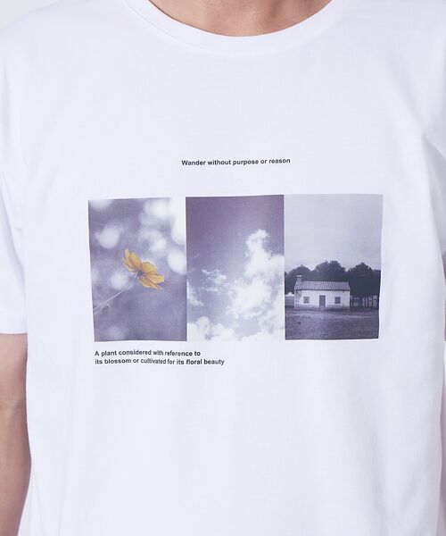 ABAHOUSE / アバハウス Tシャツ | 【Flower photo/フラワーフォト】半袖 Tシャツ | 詳細5
