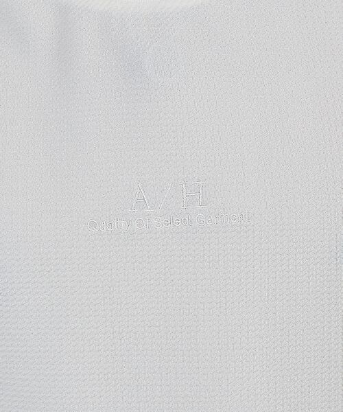 ABAHOUSE / アバハウス Tシャツ | 【アンサンブル対応】フクレ ジャガード　刺繍　半袖　Tシャツ | 詳細1