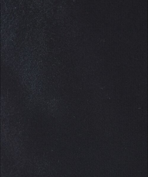 ABAHOUSE / アバハウス その他パンツ | 【POLO RALRHLAUREN】トリプルポニー フリース ジョガーパンツ | 詳細10