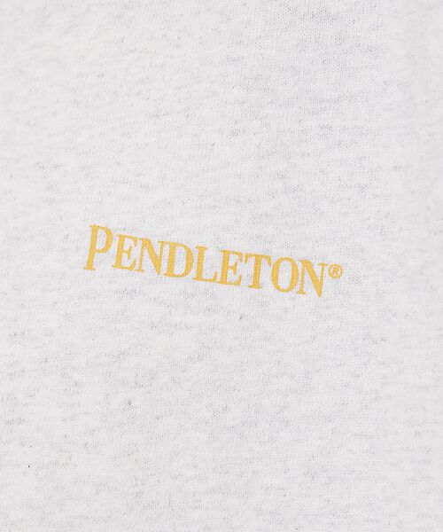 ABAHOUSE / アバハウス Tシャツ | 【PENDLETON/ペンドルトン】 BACK PRINT Tシャツ / バック | 詳細18
