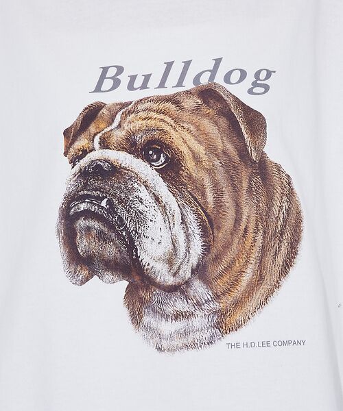 ABAHOUSE / アバハウス Tシャツ | 【LEE/リー】　BULLDOG PRINT TEE /ブルドッグプリントTシャ | 詳細3