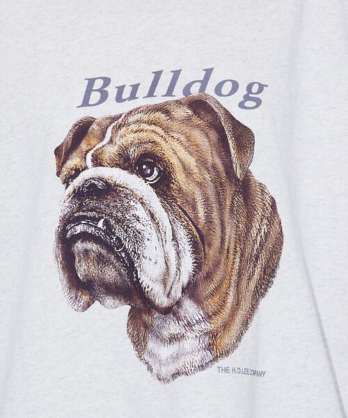 ABAHOUSE / アバハウス Tシャツ | 【LEE/リー】　BULLDOG PRINT TEE /ブルドッグプリントTシャ | 詳細11
