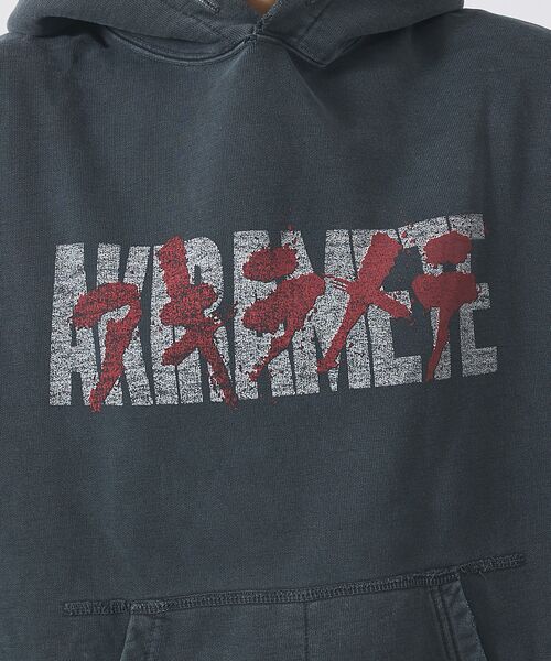 ABAHOUSE / アバハウス パーカー | 【REMI RELIEF / レミ レリーフ】ダブルSP加工裏毛パーカー(AKI | 詳細13