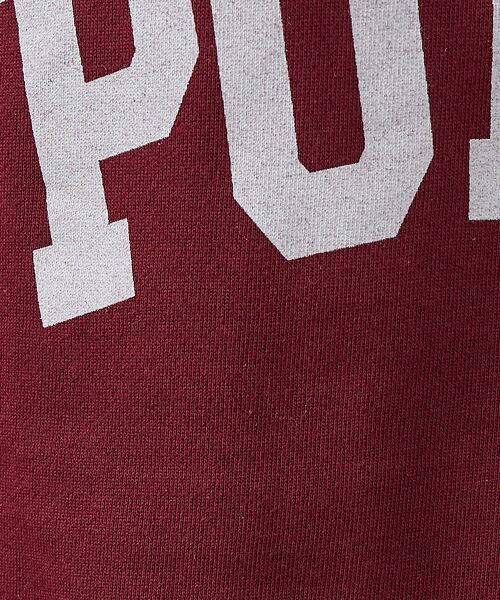 ABAHOUSE / アバハウス スウェット | 【POLER/ポーラー】COLLEGE RAGLAN CREW スウェット/カレ | 詳細15