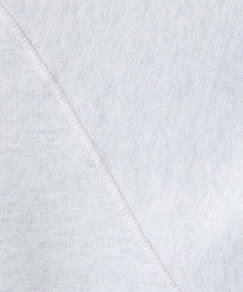 ABAHOUSE / アバハウス スウェット | 【POLER/ポーラー】COLLEGE RAGLAN CREW スウェット/カレ | 詳細9