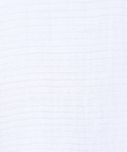 ABAHOUSE / アバハウス シャツ・ブラウス | スーパーシアー ラメドビー 半袖シャツ / オーバーサイズ | 詳細1