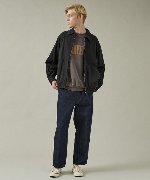 ABAHOUSE / アバハウス ブルゾン | オーバーダイ コットン ZIPブルゾン / オーバーサイズ | 詳細24