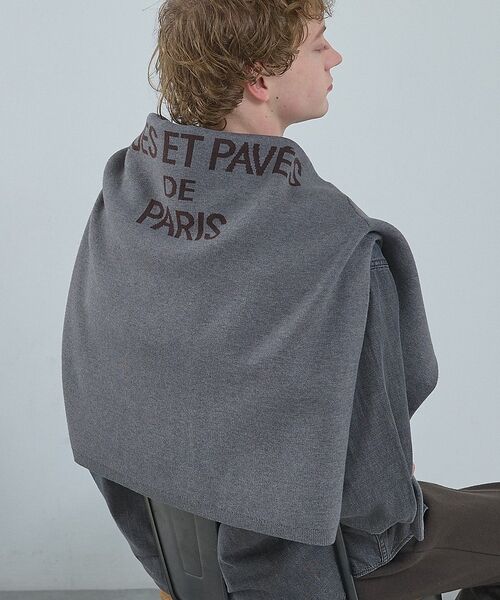 ABAHOUSE / アバハウス ニット・セーター | ジャガードロゴニット プルオーバー / オーバーサイズ / LE TRIO AB | 詳細27