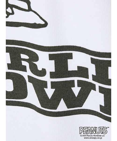 ABAHOUSE / アバハウス スウェット | 【JOHNBULL/ジョンブル】VINTAGE PEANUTS 裏毛スウェット | 詳細14