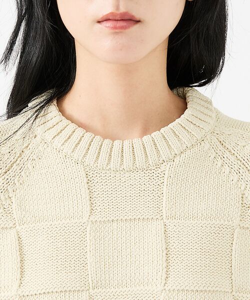 ABAHOUSE / アバハウス ニット・セーター | 【FORTUNA/フォルトゥナ】ECOTEC-Knit/編み込み風ニットプルオー | 詳細6