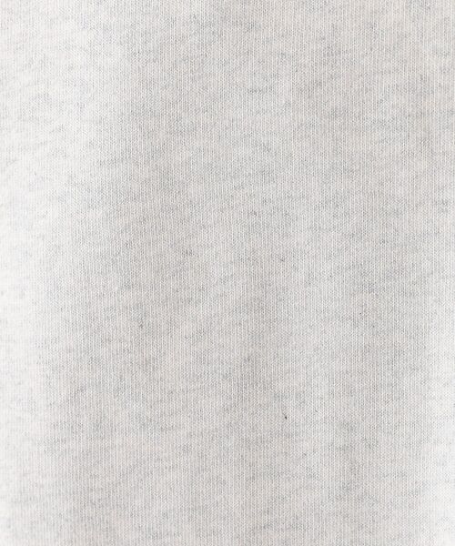 ABAHOUSE / アバハウス スウェット | 【PENDLETON/ペンドルトン】Back Print Sweat / ハーデ | 詳細17