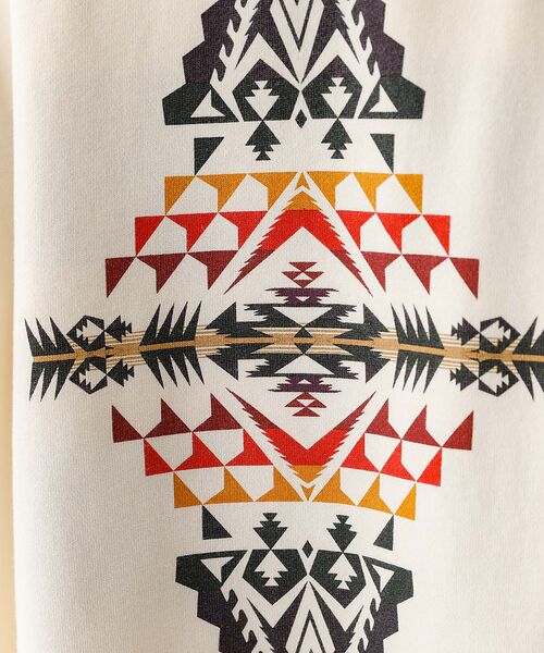 ABAHOUSE / アバハウス パーカー | 【PENDLETON/ペンドルトン】Back Print Zip Up Hood | 詳細7