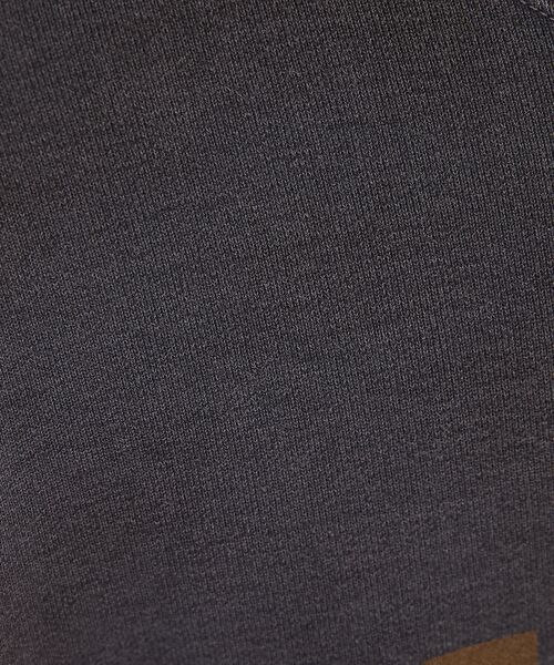 ABAHOUSE / アバハウス スウェット | 【REMI RELIEF / レミレリーフ】別注 ロゴプリント スウェット / | 詳細2