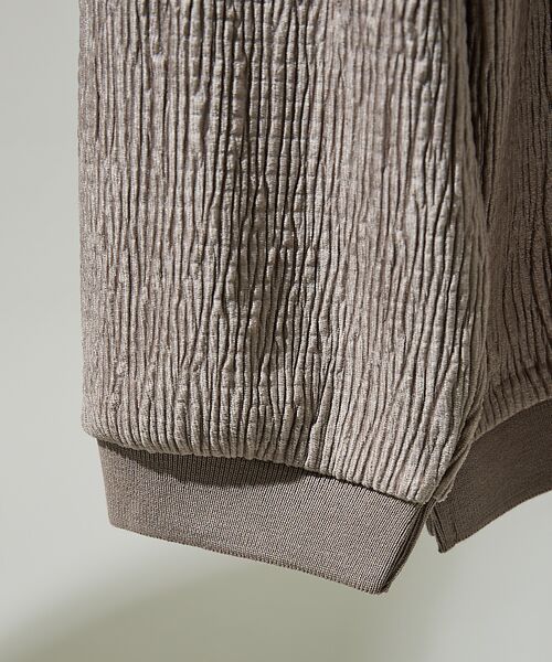 ABAHOUSE / アバハウス ポロシャツ | ベロアプリーツ ニットポロシャツ / オーバーサイズ | 詳細5