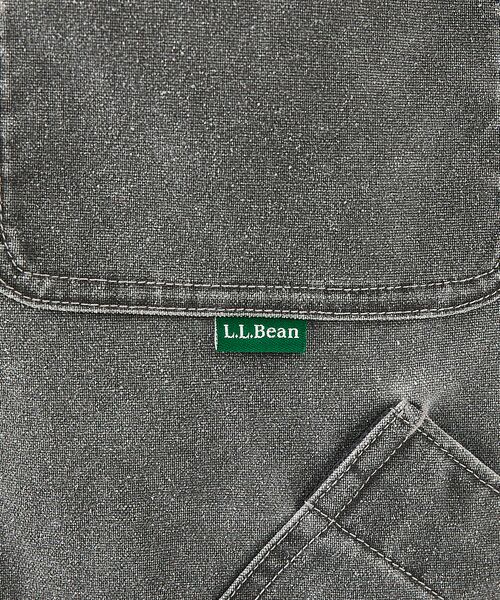ABAHOUSE / アバハウス ブルゾン | 自社限定【L.L.Bean/エルエルビーン】Prospect Harbor Fi | 詳細25