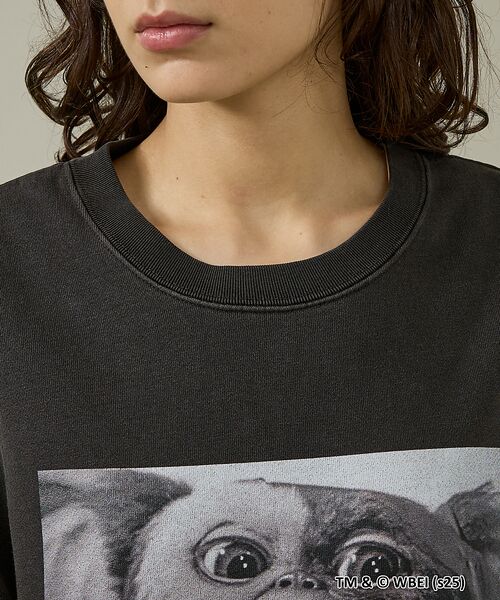 ABAHOUSE / アバハウス スウェット | 【GREMLINS×SCREEN STARS/グレムリン×スクリーンスターズ】B | 詳細11