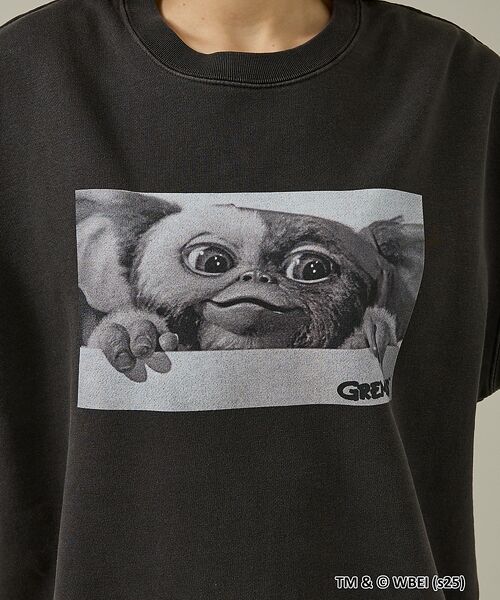 ABAHOUSE / アバハウス スウェット | 【GREMLINS×SCREEN STARS/グレムリン×スクリーンスターズ】B | 詳細13