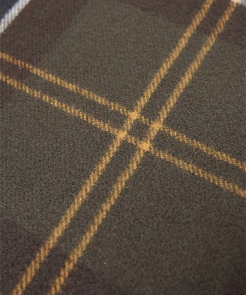 ABAHOUSE / アバハウス マフラー・ショール・スヌード・ストール | 【Barbour / バブアー】HAILESTARTAN SCARF / ヘイル | 詳細11
