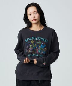 ABAHOUSE / アバハウス スウェット | 【FRUIT OF THE LOOM】ロングスリーブ甘編み裏毛1/スウェット【W