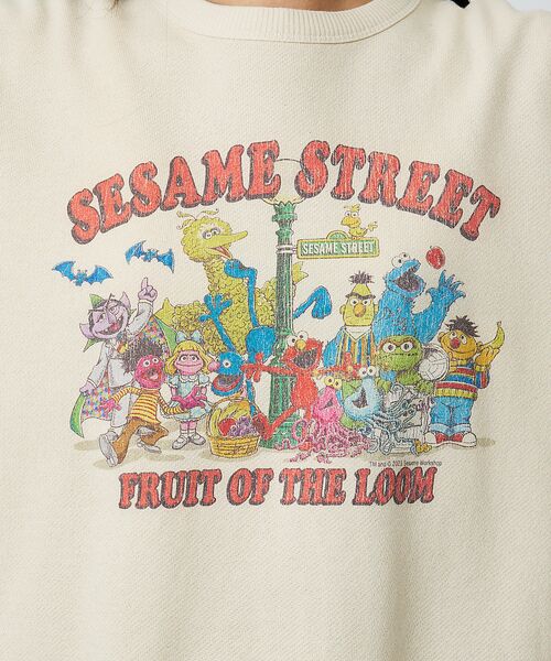 ABAHOUSE / アバハウス スウェット | 【FRUIT OF THE LOOM】ロングスリーブ甘編み裏毛1/スウェット【W | 詳細9