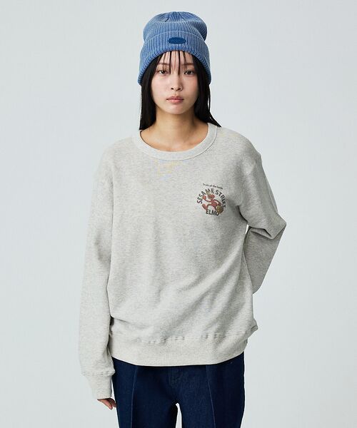 ABAHOUSE / アバハウス スウェット | 【FRUIT OF THE LOOM/フルーツオブザルーム×SESAME STR | 詳細16