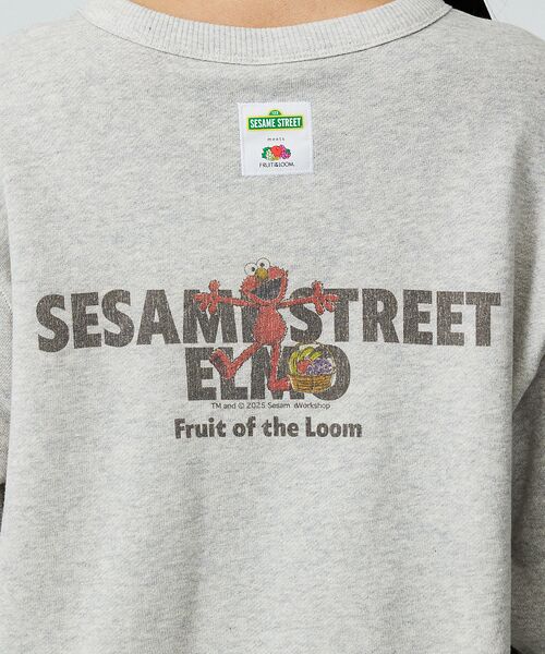 ABAHOUSE / アバハウス スウェット | 【FRUIT OF THE LOOM/フルーツオブザルーム×SESAME STR | 詳細10