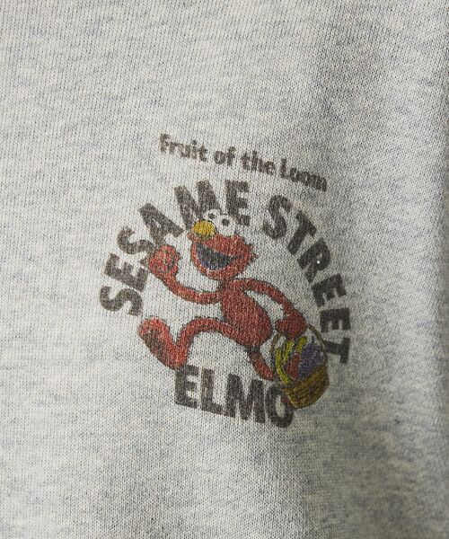 ABAHOUSE / アバハウス スウェット | 【FRUIT OF THE LOOM/フルーツオブザルーム×SESAME STR | 詳細12
