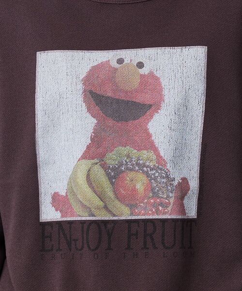 ABAHOUSE / アバハウス スウェット | 【FRUIT OF THE LOOM】ロングスリーブ甘編み裏毛3/ELMO/ユニ | 詳細3