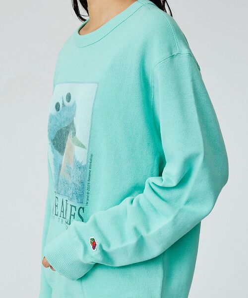 ABAHOUSE / アバハウス スウェット | 【FRUIT OF THE LOOM】ロングスリーブ甘編み裏毛4/COOKIEM | 詳細7