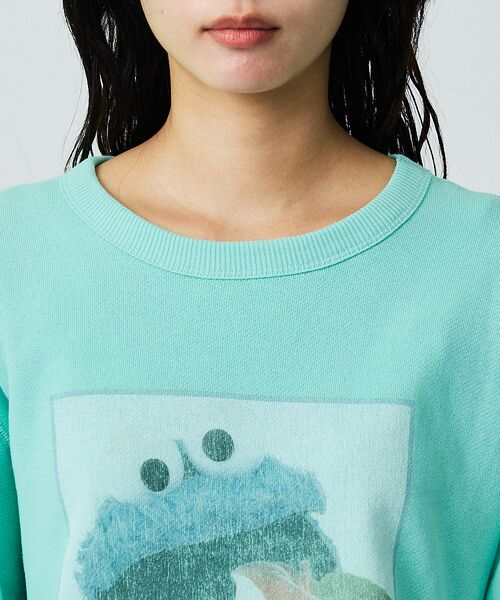 ABAHOUSE / アバハウス スウェット | 【FRUIT OF THE LOOM】ロングスリーブ甘編み裏毛4/COOKIEM | 詳細8