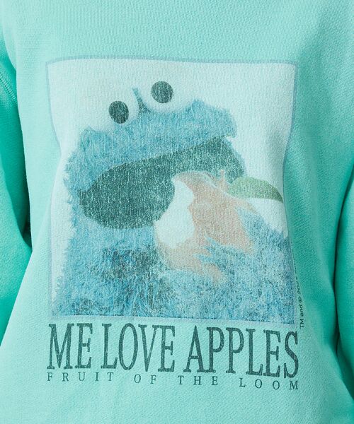 ABAHOUSE / アバハウス スウェット | 【FRUIT OF THE LOOM】ロングスリーブ甘編み裏毛4/COOKIEM | 詳細9