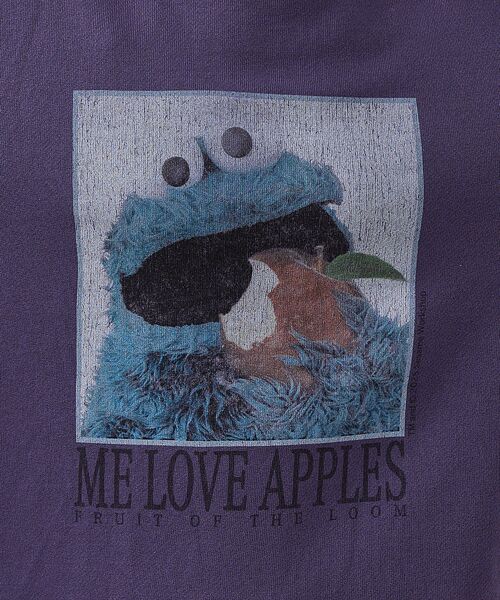 ABAHOUSE / アバハウス スウェット | 【FRUIT OF THE LOOM】ロングスリーブ甘編み裏毛4/COOKIEM | 詳細17