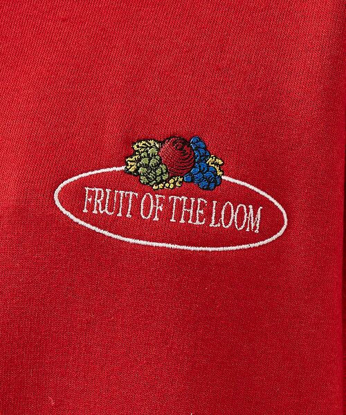 ABAHOUSE / アバハウス パーカー | 【FRUIT OF THE LOOM】PRINT HOODIE1/ワンポイント/ | 詳細10