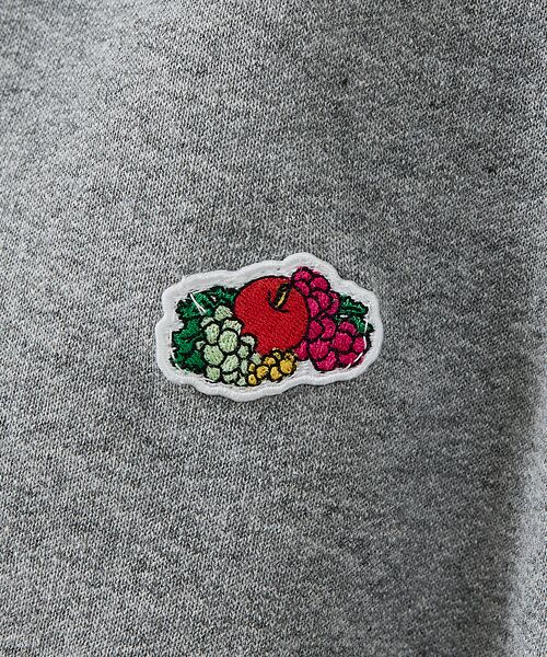 ABAHOUSE / アバハウス パーカー | 【FRUIT OF THE LOOM】PRINT HOODIE2/プリントフーデ | 詳細12