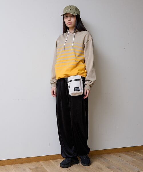 ABAHOUSE / アバハウス ショルダーバッグ | 【Dickies / ディッキーズ】 PADDED QUICKSHOULDER | 詳細10