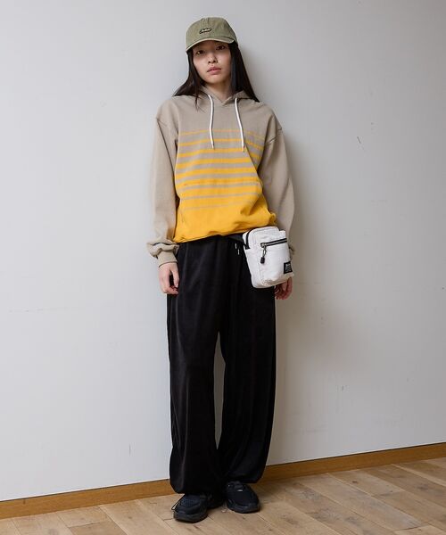 ABAHOUSE / アバハウス ショルダーバッグ | 【Dickies / ディッキーズ】 PADDED QUICKSHOULDER | 詳細11