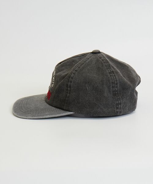 ABAHOUSE / アバハウス ハット | 【FRUIT OF THE LOOM/フルーツ オブ ザ ルーム】 EX PIG | 詳細13