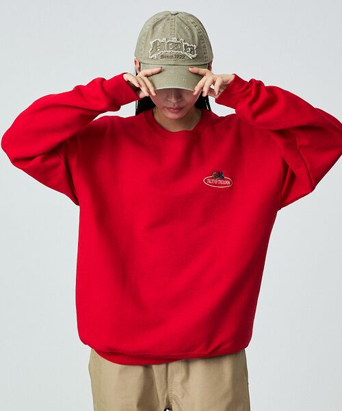 ABAHOUSE / アバハウス ハット | 【Dickies / ディッキーズ】PIGMENT  FRINGE LOGO C | 詳細15