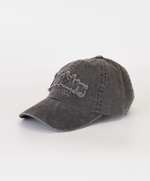 ABAHOUSE / アバハウス ハット | 【Dickies / ディッキーズ】PIGMENT  FRINGE LOGO C | 詳細22