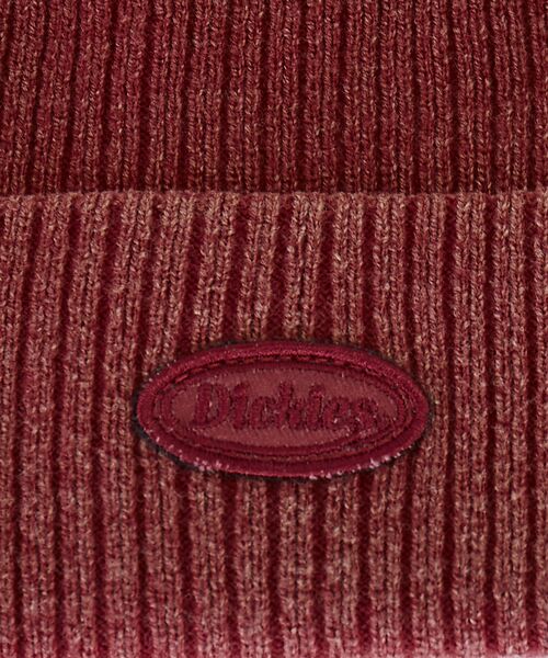 ABAHOUSE / アバハウス ハット | 【Dickies / ディッキーズ】EX CIRCLE LOGO PIGMENT | 詳細10